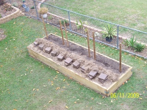 The garden bed - trellises in place